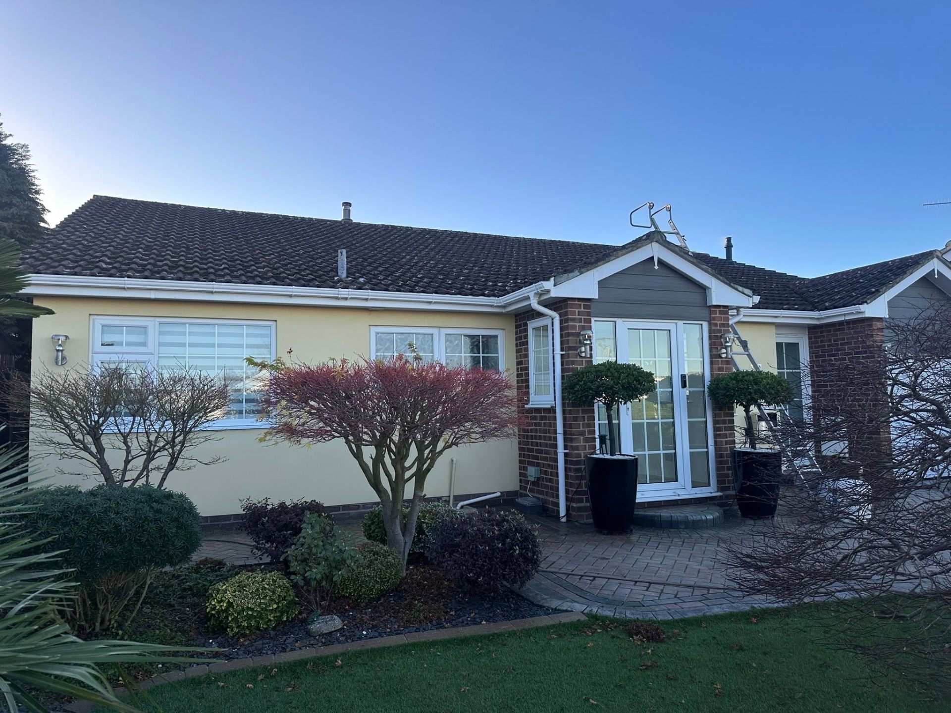 Before, Bungalow roof softwash, Roof Cleaning, Dorset – Dorset Exterior Cleaning