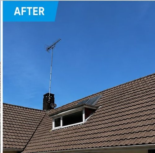After, Concrete tile bungalow roof softwash, Roof Cleaning, Dorset – Dorset Exterior Cleaning